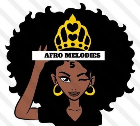 HOOKSHOW Afro Melodies 5 WAV